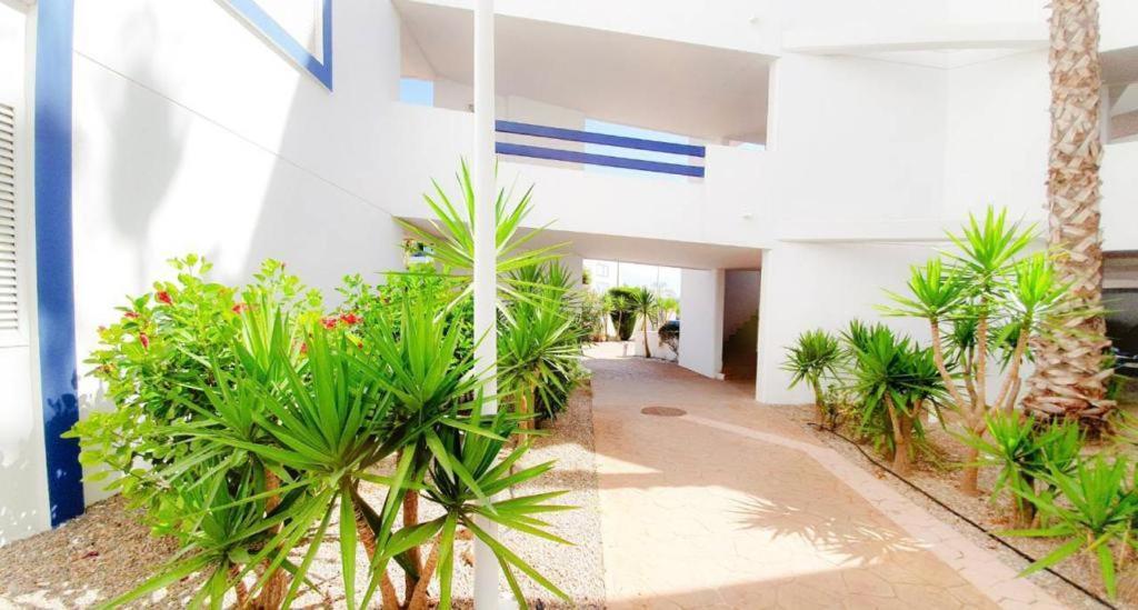 Apartment With Sea Views In Las Terrazas/Playa Flamenca Dehesa de Campoamor  Exterior foto